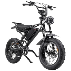 1500W Fat Tire Electric Bike 20" x 4.0" Adult Electric Bicycle with Removable 48V Battery, Electric Bikes 30MPH 7-Speed System, Commuting Dirt Bike...