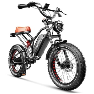 2000W Motor 48V 25Ah Removable Battery Electric Bike for Adults,Up to 35MPH & 100 Miles Fat Tire EBike All Terrain Assist E Bike, Hydraulic Disc...