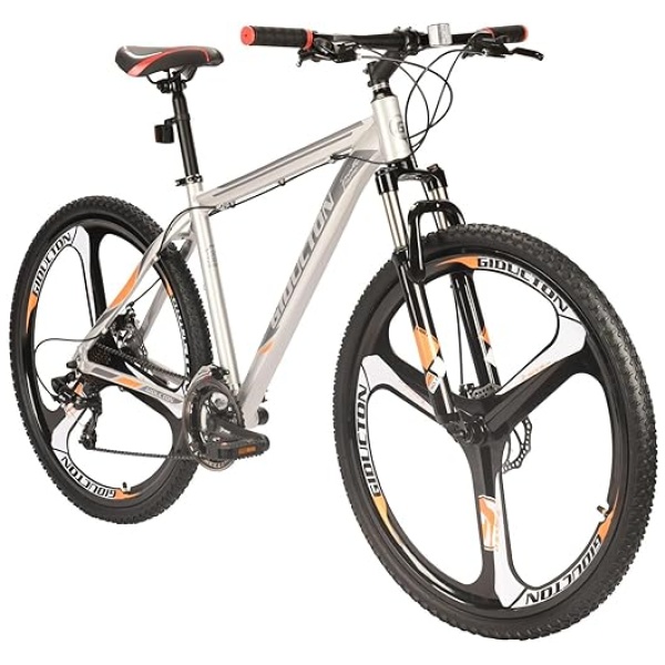 29 Inch Mountain Bike 21 Speed Mountain Bike with Dual Disc Brakes,Aluminum Alloy Frame Bicycle for Men and Women