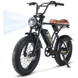 CycRun Electric Bike for Adults 750W Motor with 374.4WH Battery, 20MPH 55Miles Moped Style Ebike for Adults, 20" Fat Tire Commuting Off Road...
