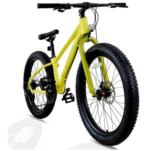 Fat Tire Mountain Bike 24 inch, 7 Speeds, with High Carbon Steel Frame, Double Disc Brake Fat Tire Bicycle