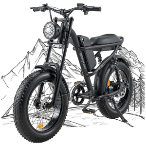 Riding'times 1500W Moped Style Electric Bike, 20 Inch Fat Tire & 6-Layer Full Suspension Ebike, Up to 28MPH & 75 Miles, 15.6AH Removable Battery,...